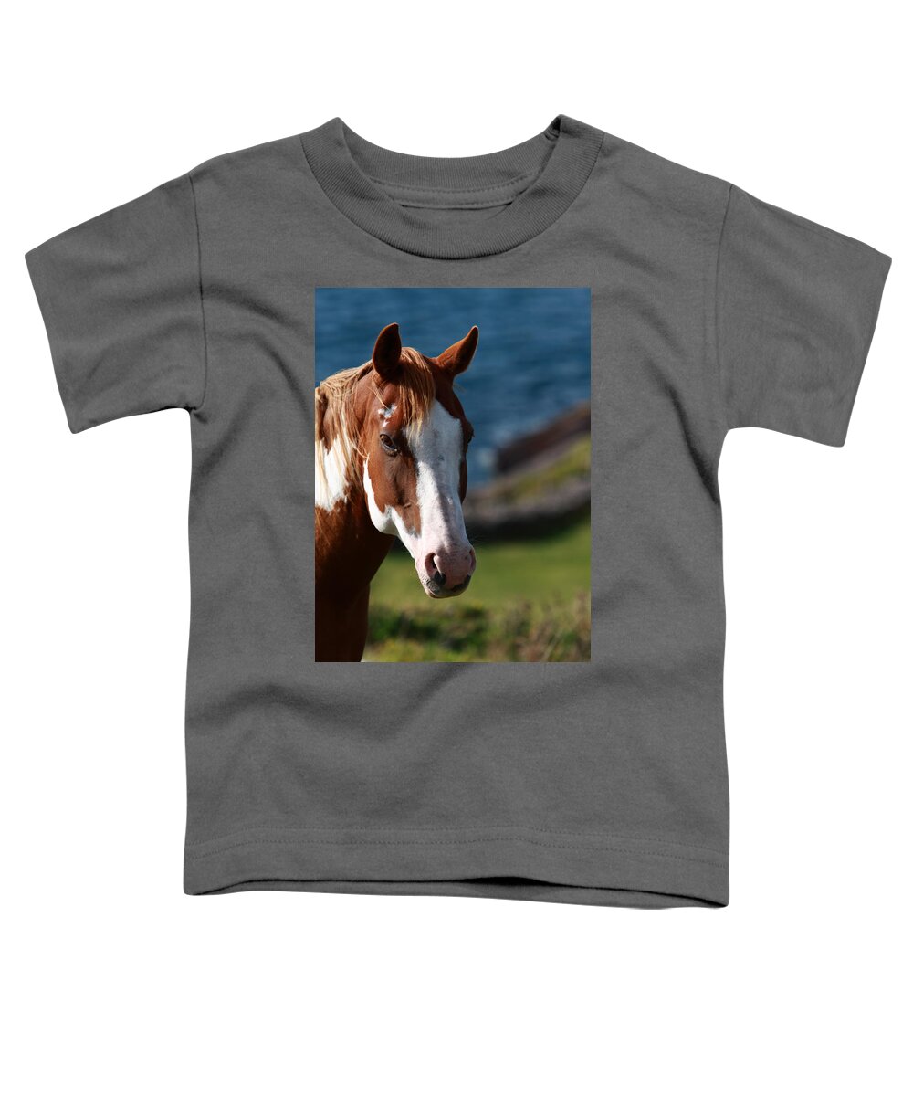 Horse Toddler T-Shirt featuring the photograph Chestnut Mare by Aidan Moran
