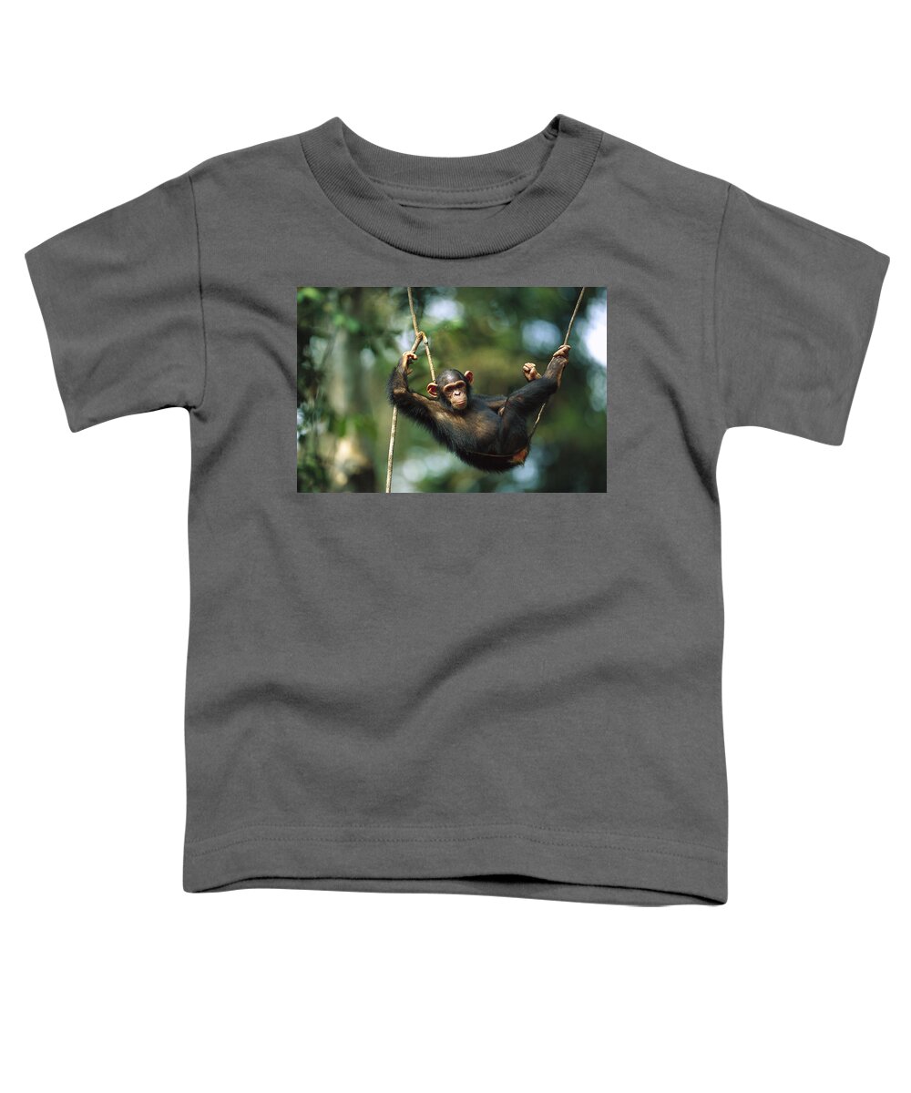 Mp Toddler T-Shirt featuring the photograph Chimpanzee Pan Troglodytes Resting by Cyril Ruoso