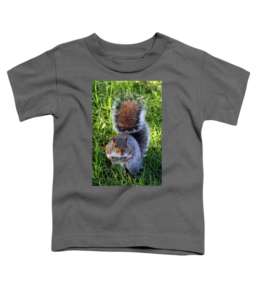 Squirrel Toddler T-Shirt featuring the photograph City Squirrel by S Paul Sahm