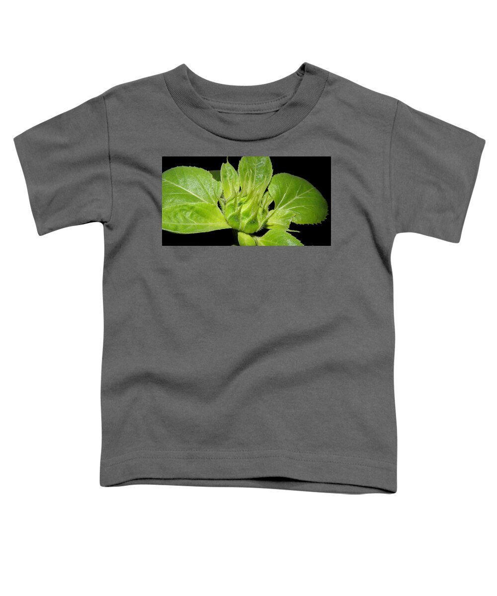Sunflower Toddler T-Shirt featuring the photograph Coming Into Bloom by Kim Galluzzo