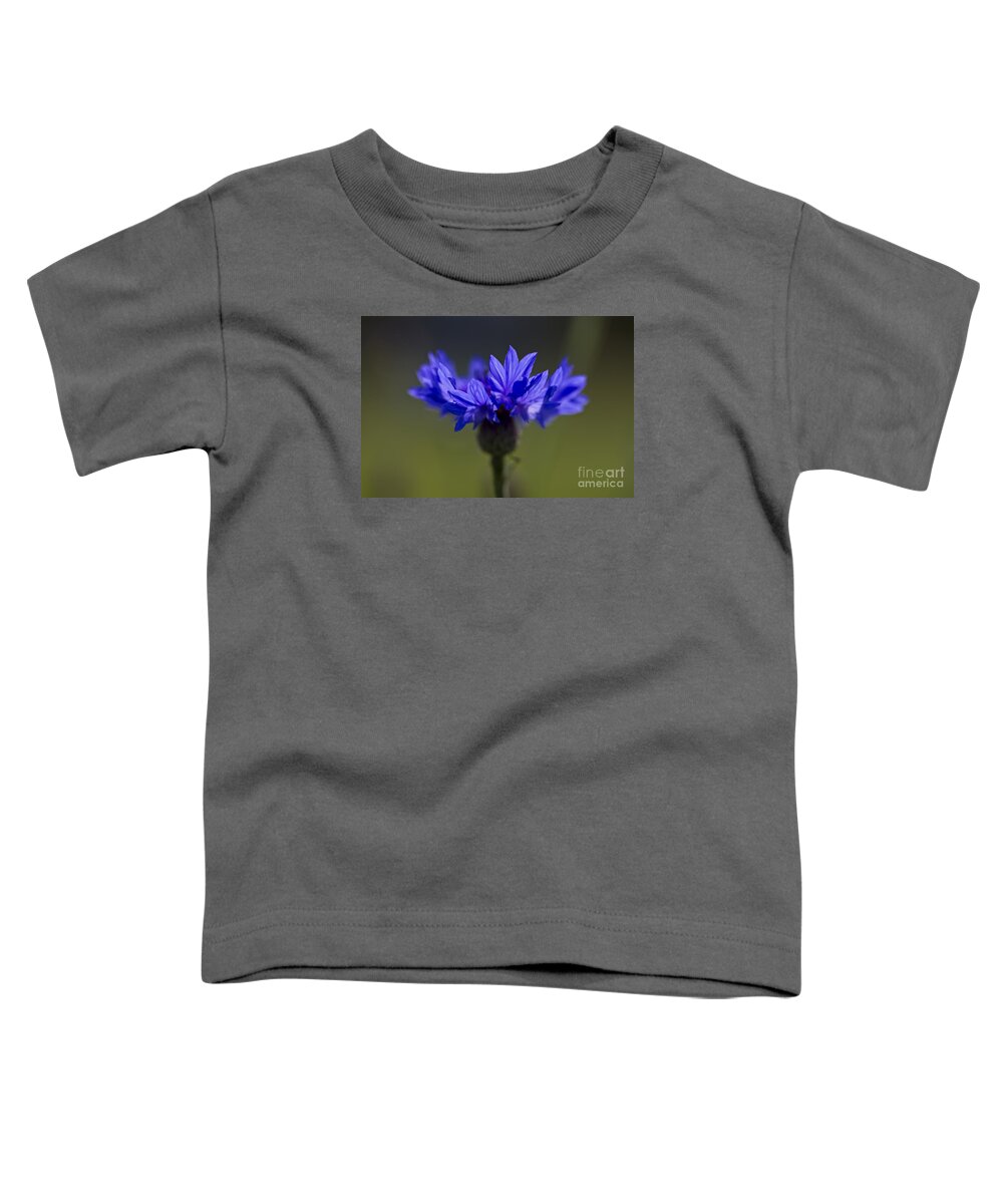 Cornflower Toddler T-Shirt featuring the photograph Cornflower Blue by Clare Bambers
