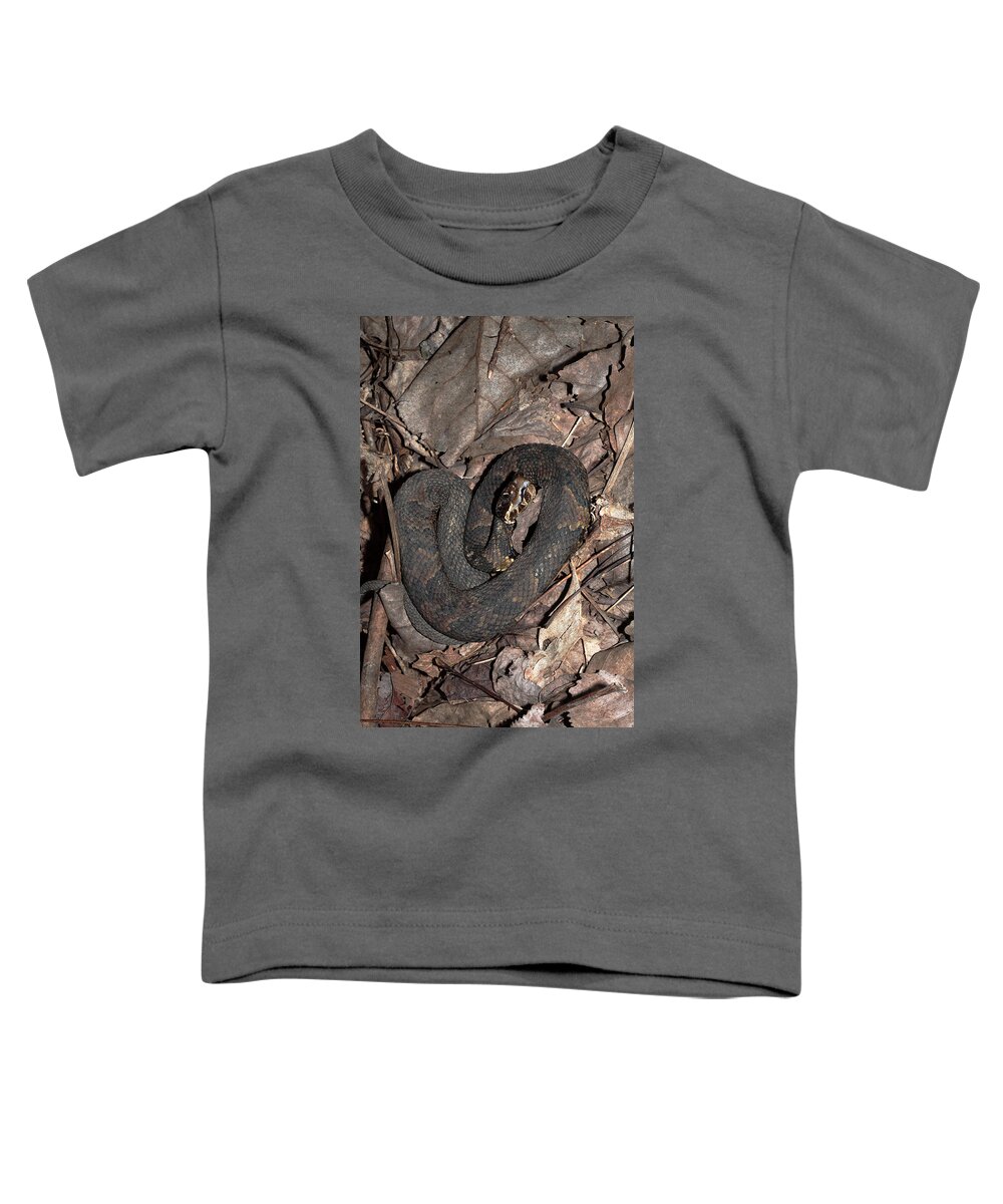 Agkistrodon Piscivorus Toddler T-Shirt featuring the photograph Cottonmouth by Daniel Reed