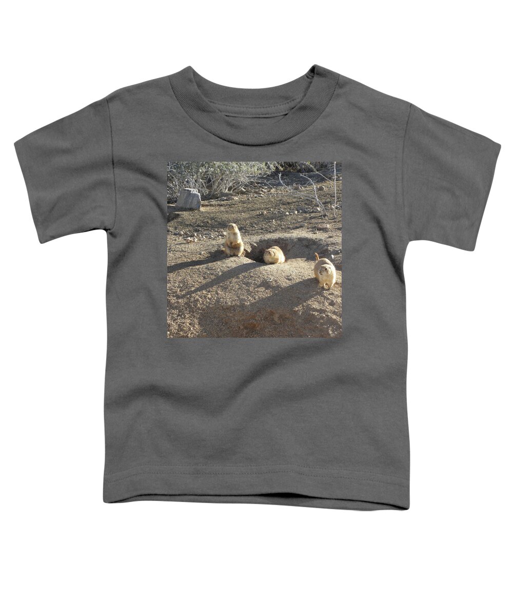 Gopher Toddler T-Shirt featuring the photograph Curious Gophers by Kim Galluzzo Wozniak