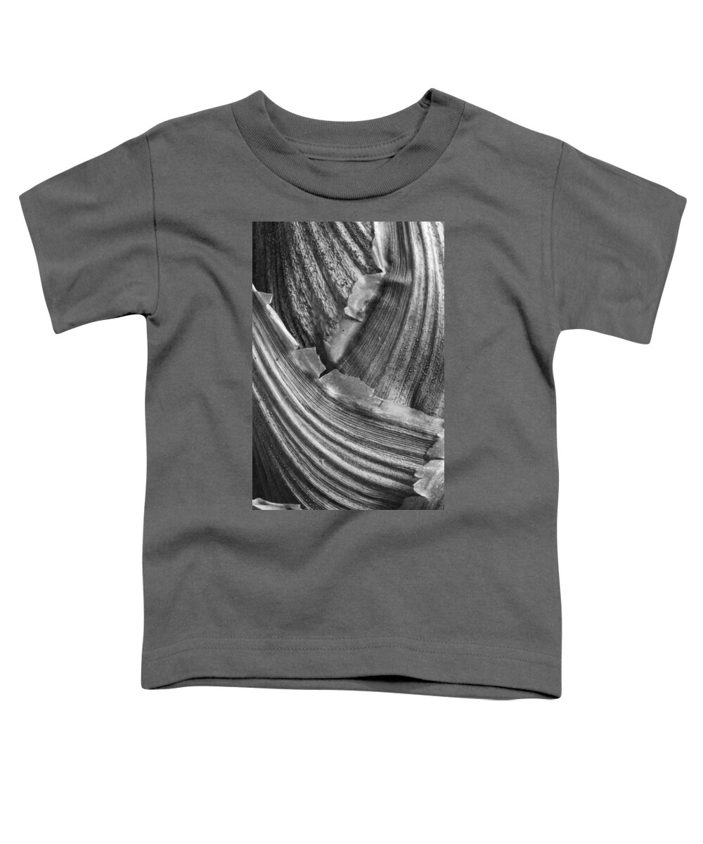 Abstract Toddler T-Shirt featuring the photograph Curves by Shirley Mitchell