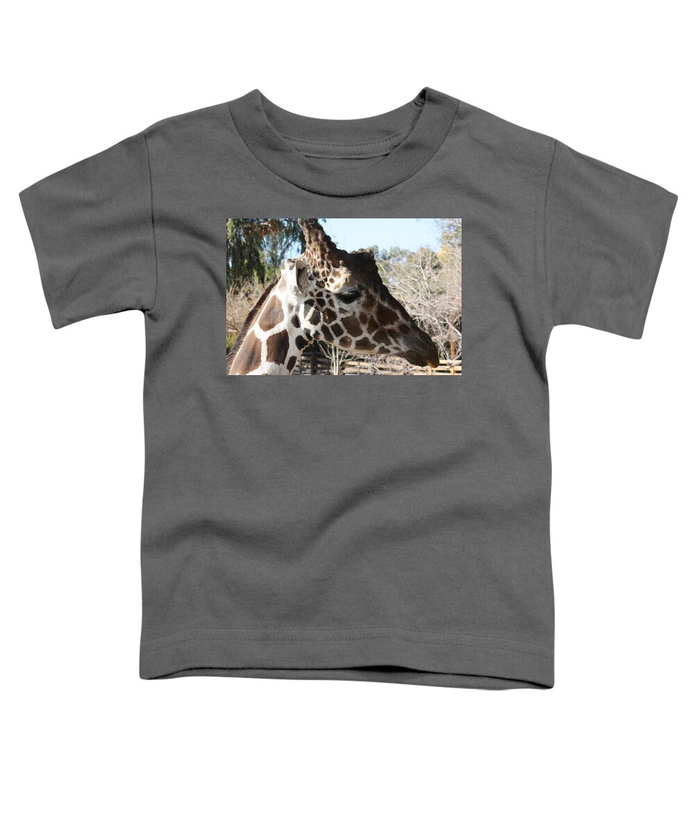 Giraffe Toddler T-Shirt featuring the photograph Daddy Giraffe by Kim Galluzzo Wozniak