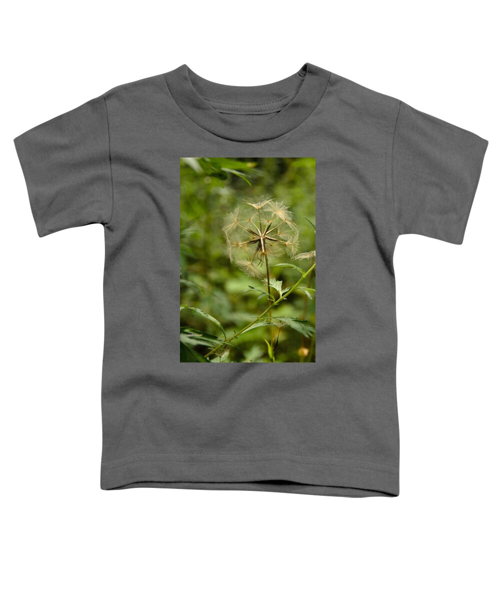 Blowball Toddler T-Shirt featuring the photograph Dandelion by Michael Goyberg