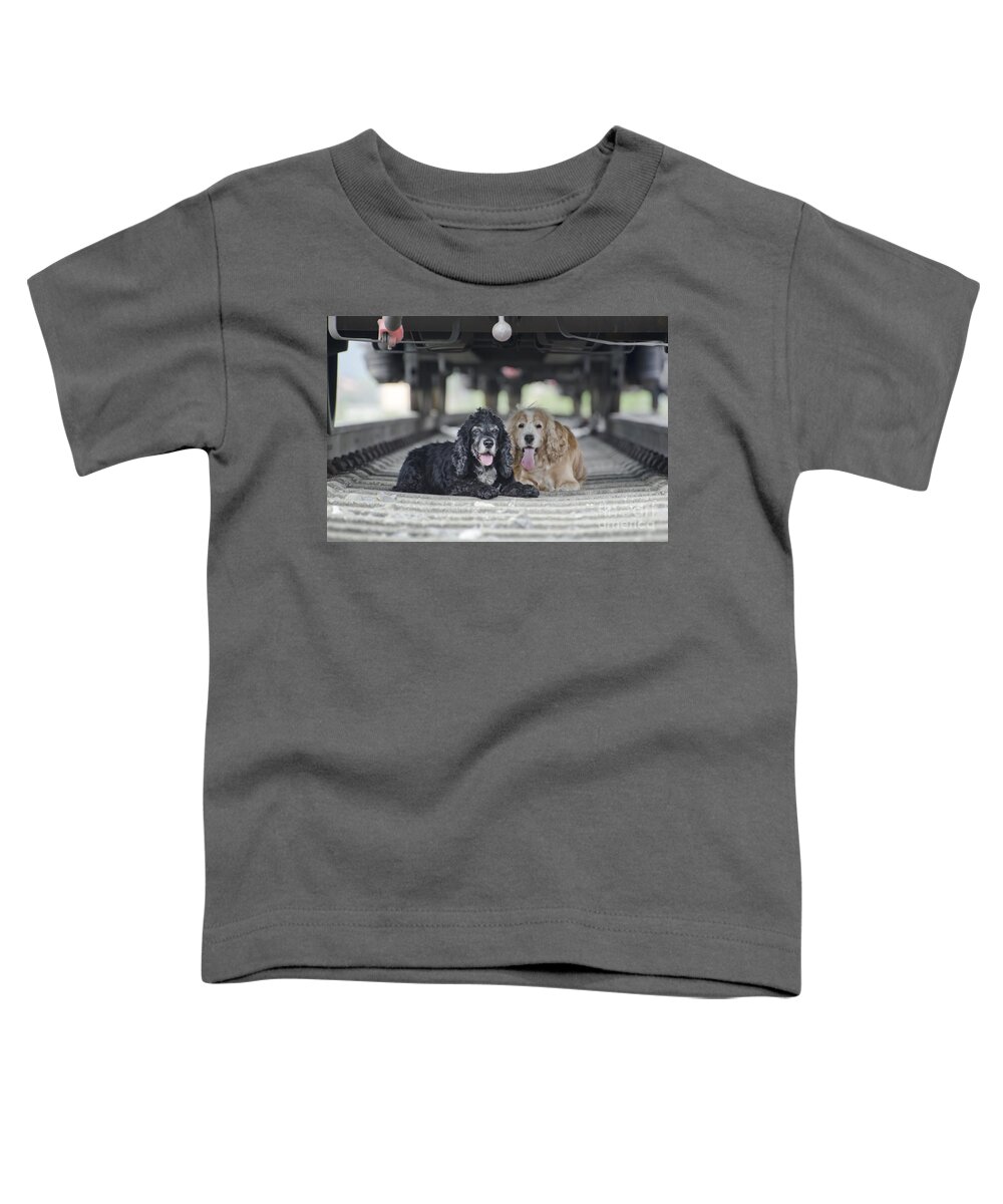 Dogs Toddler T-Shirt featuring the photograph Dogs lying under a train wagon by Mats Silvan