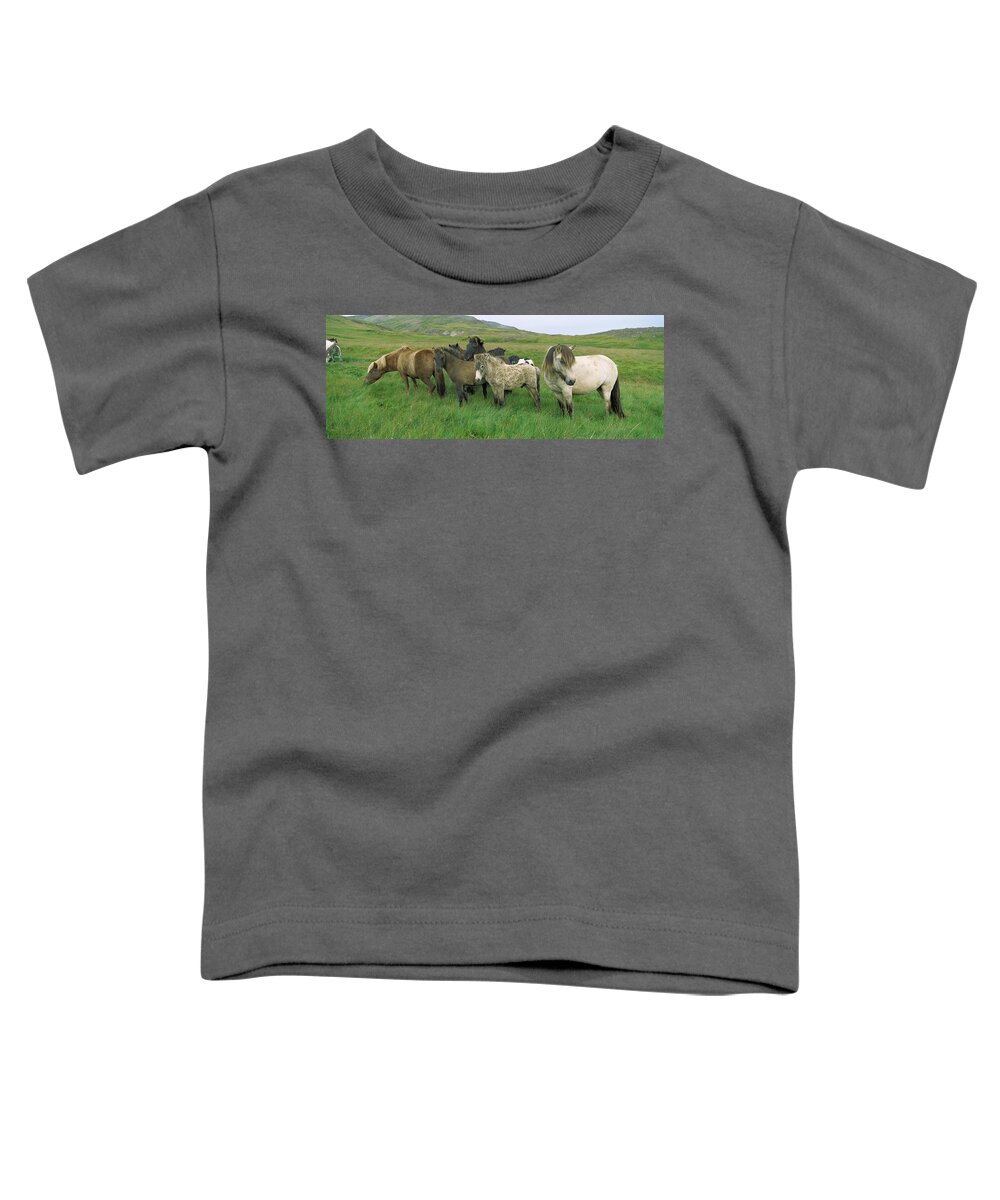 Mp Toddler T-Shirt featuring the photograph Domestic Horse Equus Caballus Herd by Cyril Ruoso