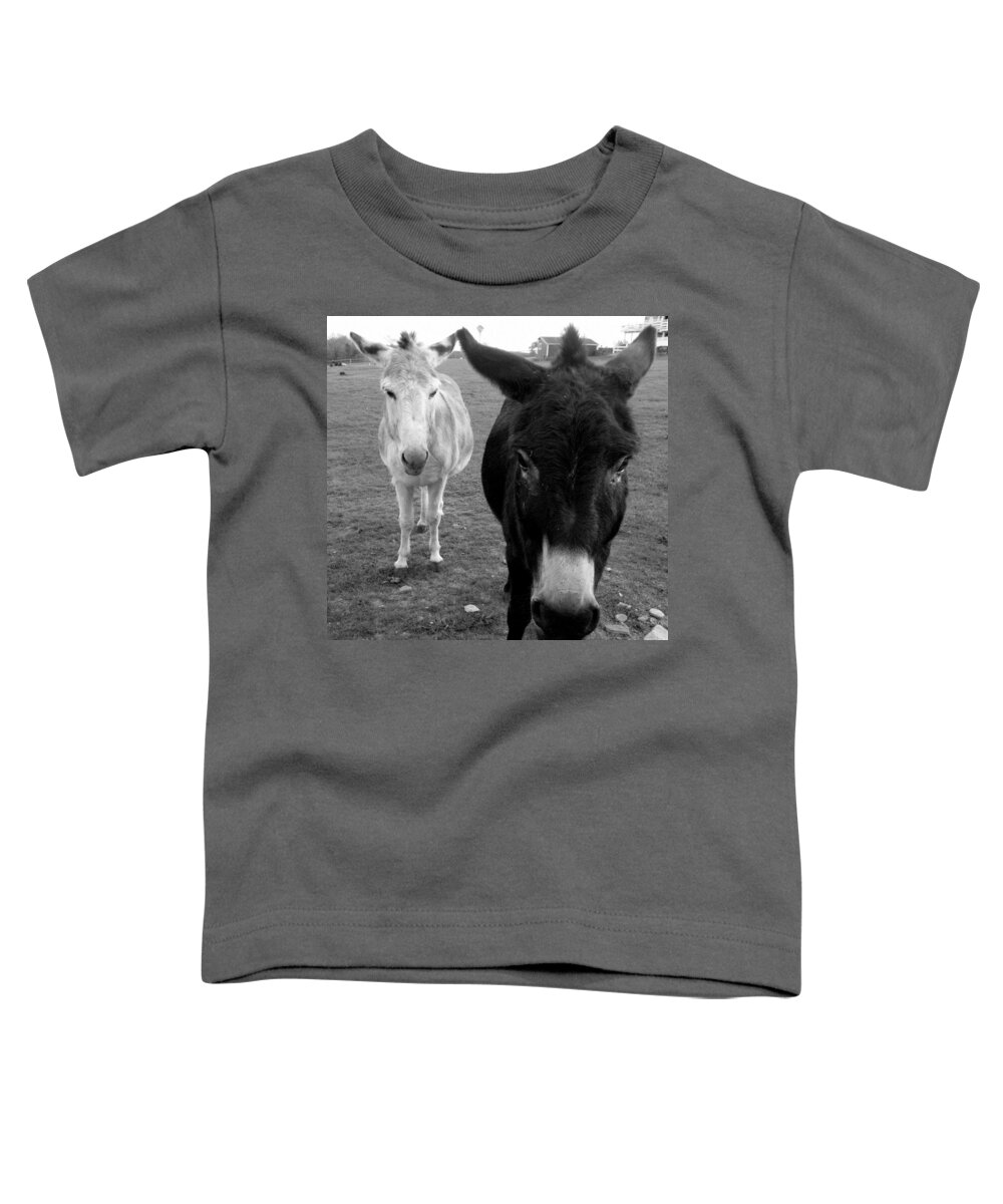 Donkeys Toddler T-Shirt featuring the photograph Donks by Kim Galluzzo Wozniak
