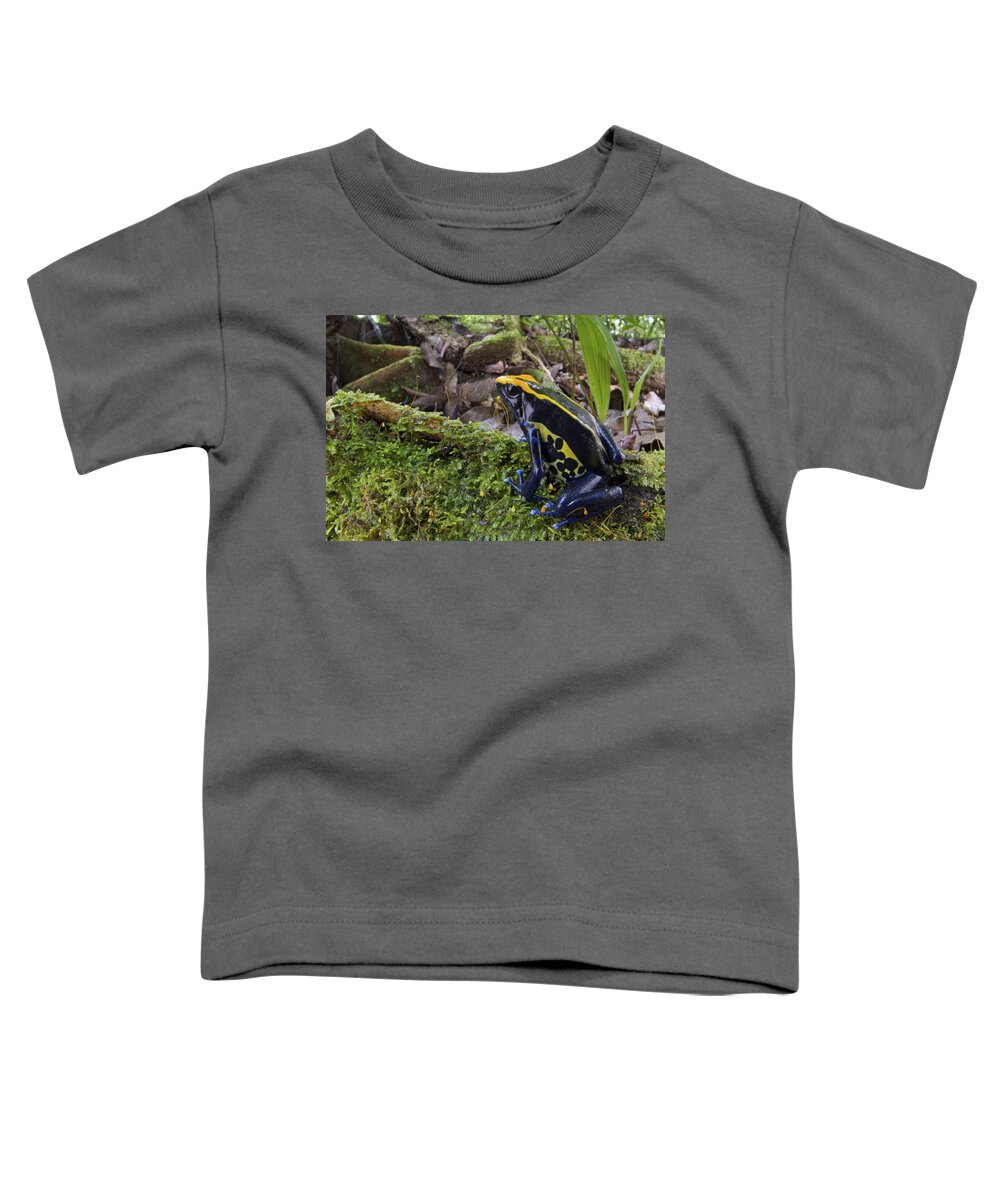 00479309 Toddler T-Shirt featuring the photograph Dyeing Poison Frog In Rainforest Surinam by Piotr Naskrecki