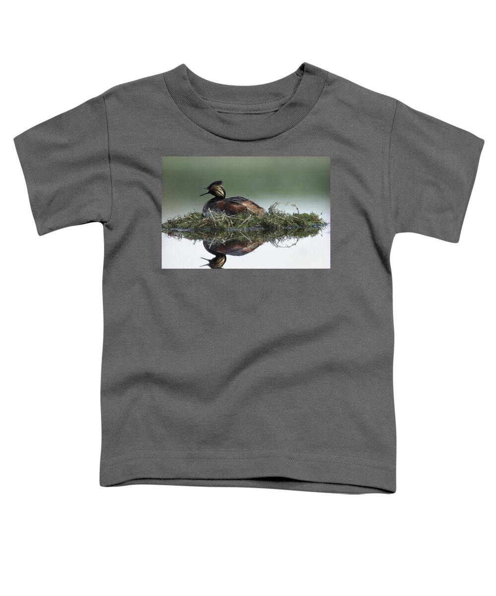00171951 Toddler T-Shirt featuring the photograph Eared Grebe In Breeding Plumage Calling by Tim Fitzharris