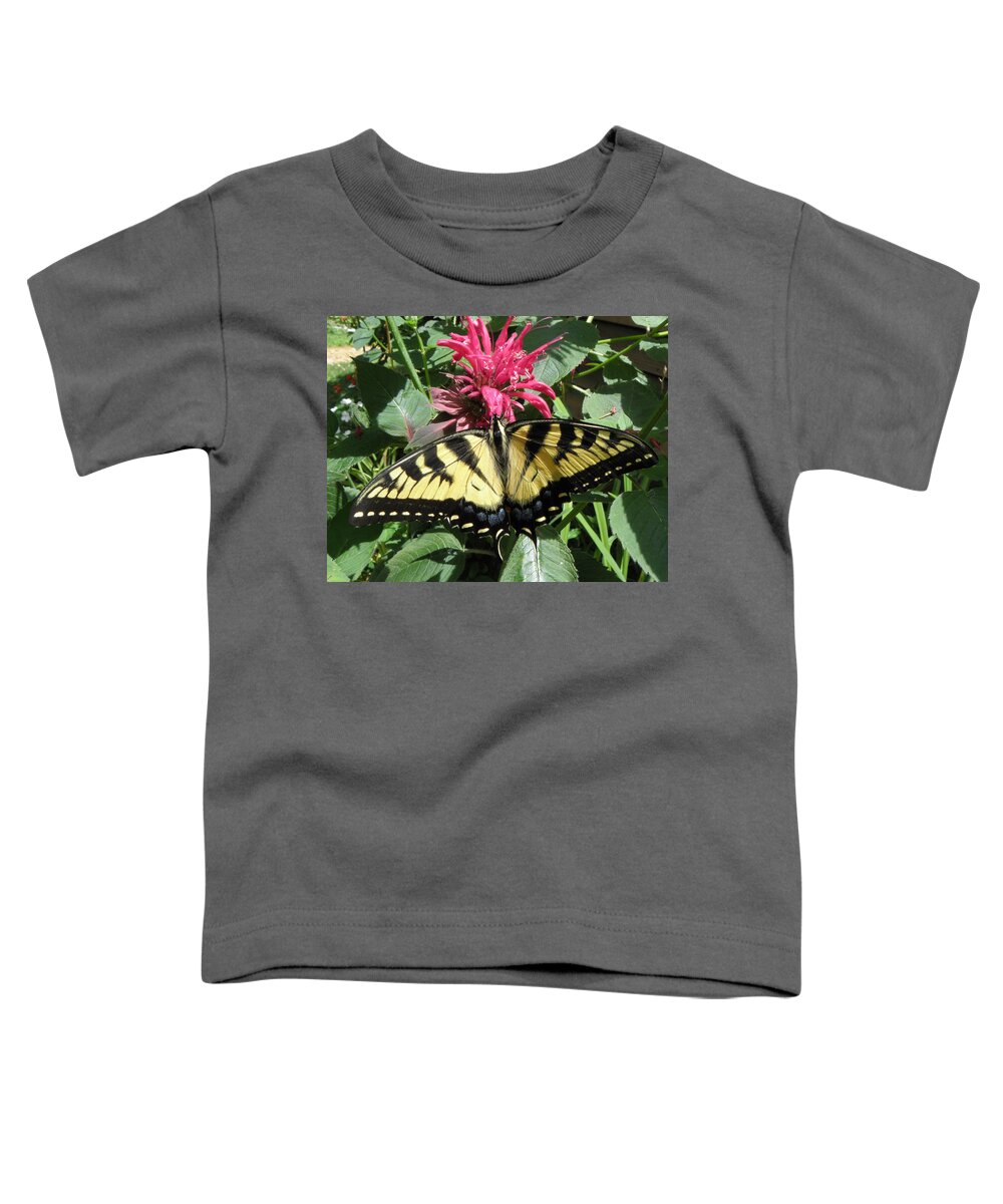Butterfly Toddler T-Shirt featuring the photograph Eastern Yellowtail Butterfly by Kim Galluzzo