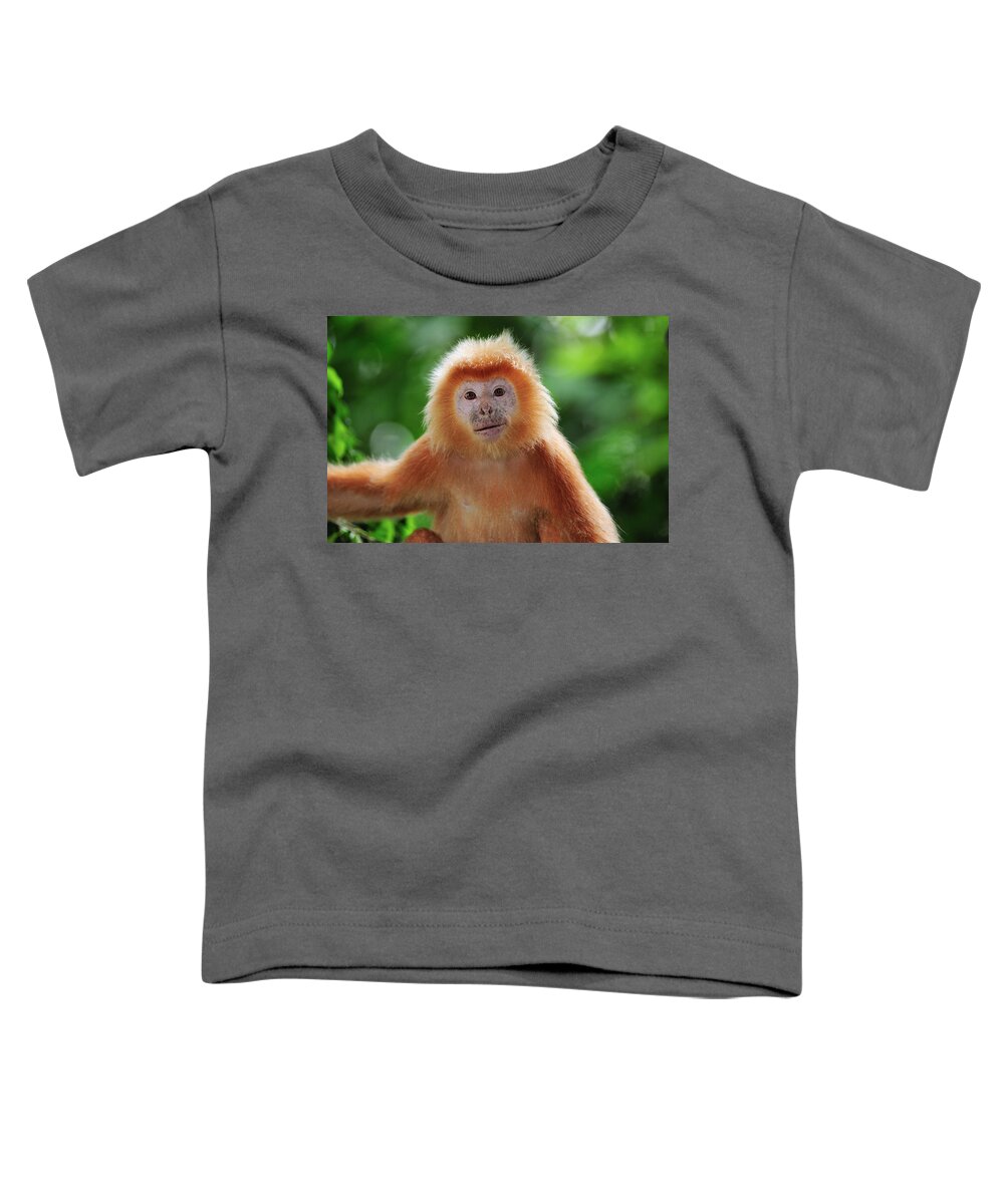 Mp Toddler T-Shirt featuring the photograph Ebony Leaf Monkey Trachypithecus by Thomas Marent