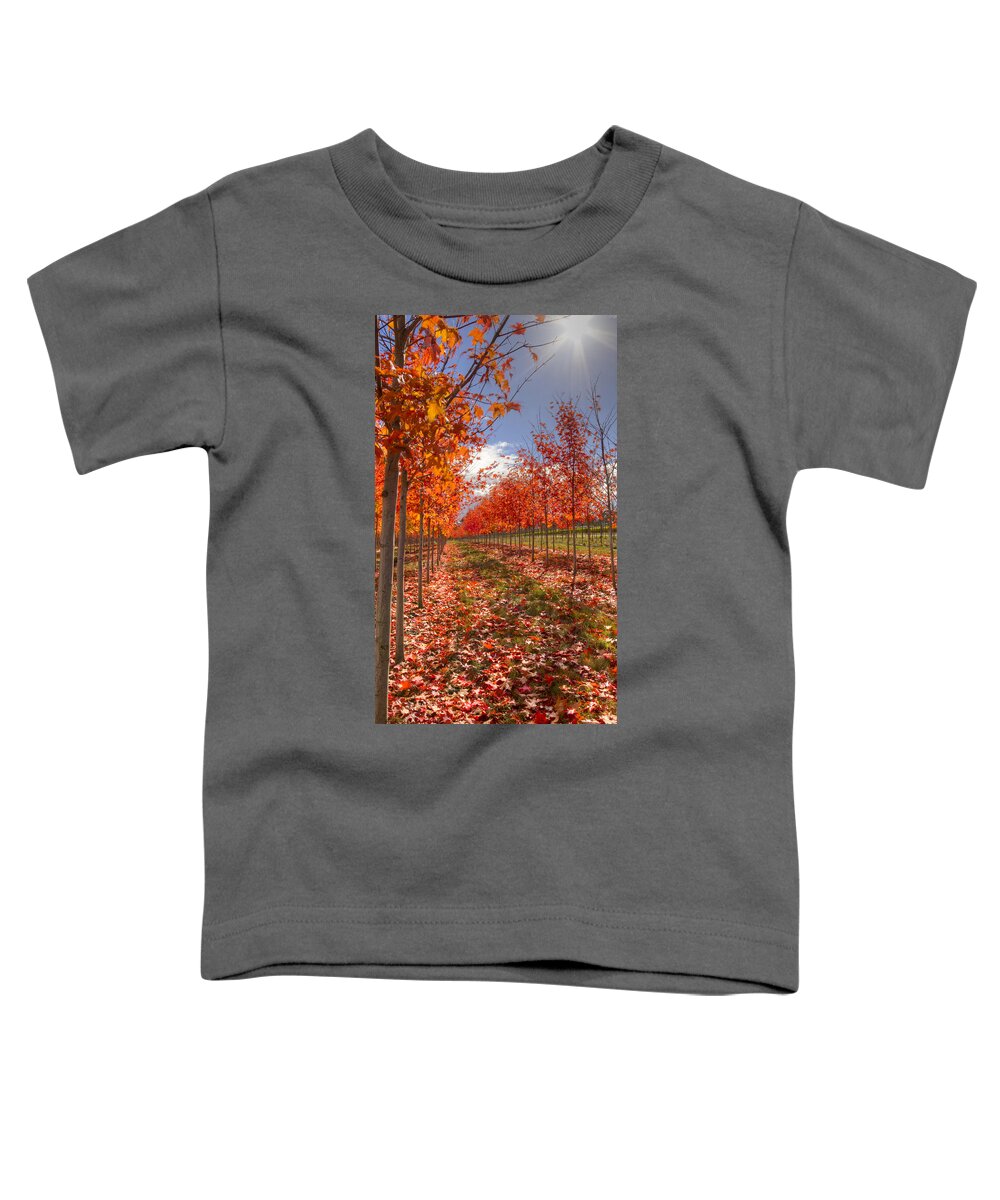 Tree Toddler T-Shirt featuring the photograph Fall Line Up by Jean Noren