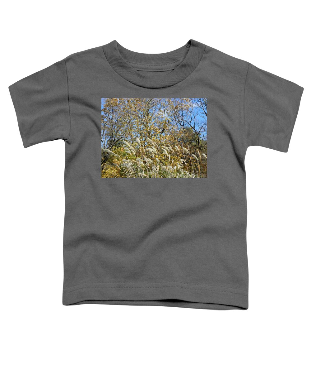 Fall Toddler T-Shirt featuring the photograph Fall scape in Connecticut by Kim Galluzzo Wozniak