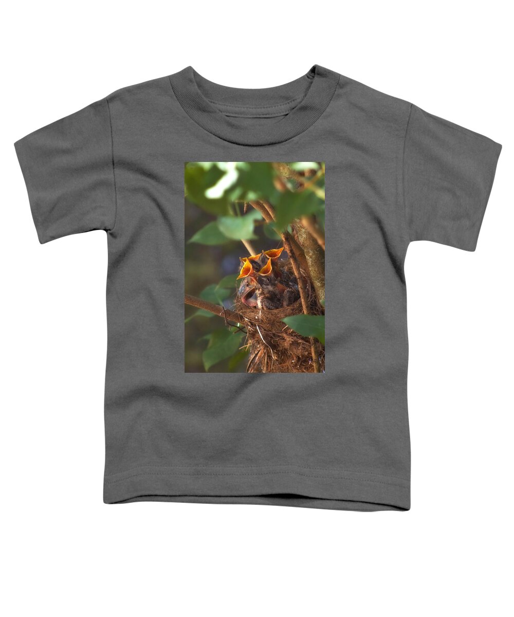 Oriole Toddler T-Shirt featuring the photograph Feeding Time by Joann Vitali