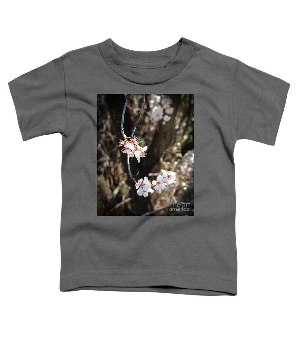 Altered Toddler T-Shirt featuring the photograph First Sakura Branch by Laura Iverson