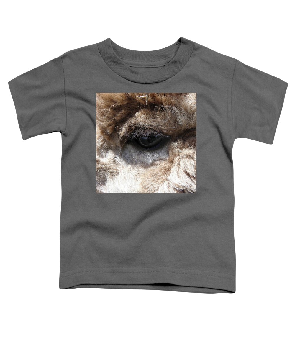 Alpaca Toddler T-Shirt featuring the photograph Fluffy Eyes by Kim Galluzzo Wozniak