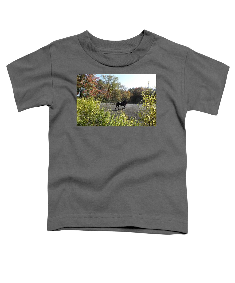 Friesian Horse Toddler T-Shirt featuring the photograph Frieisian Fall Setting by Kim Galluzzo