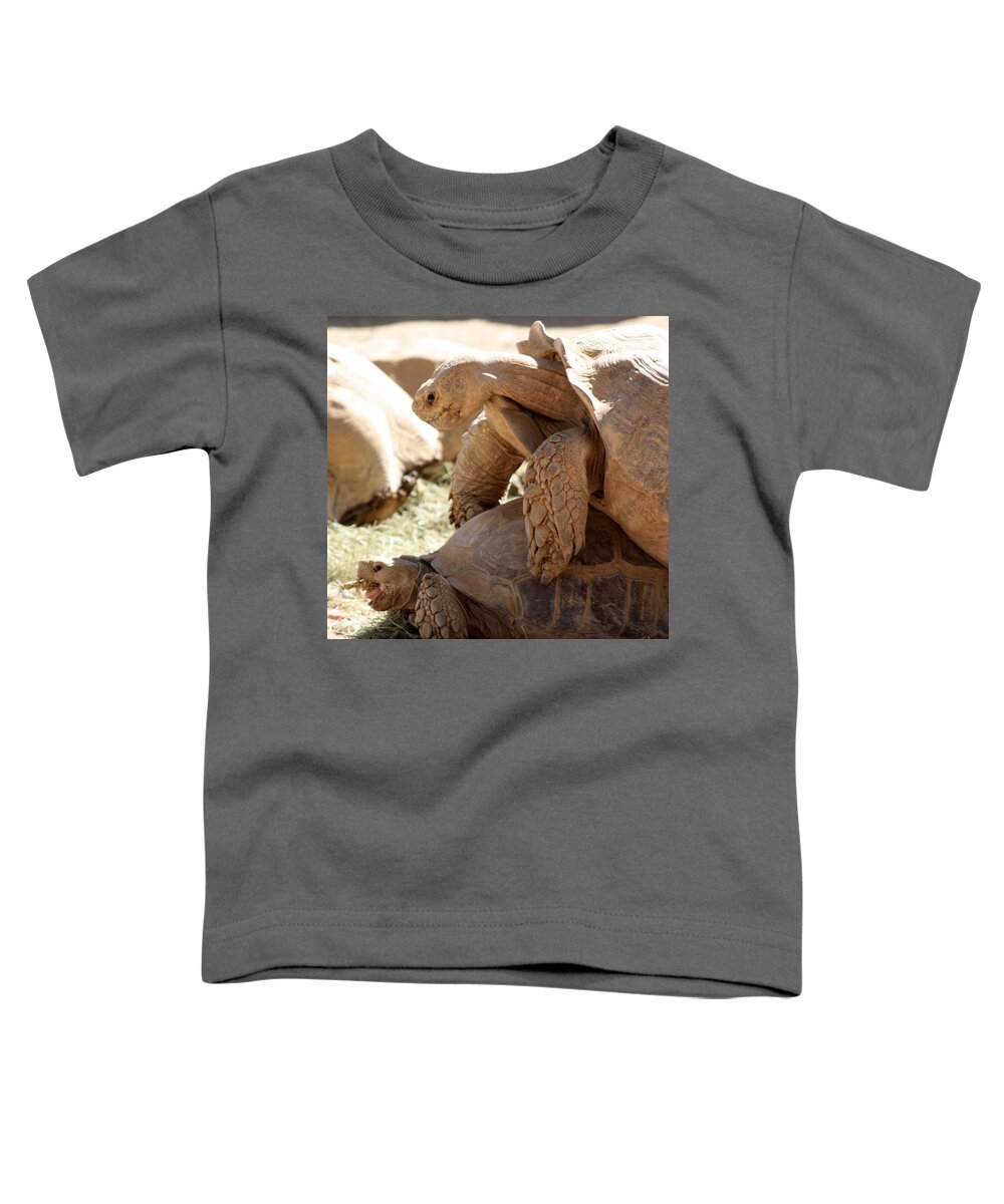 Tortoise Toddler T-Shirt featuring the photograph Get a room by Kim Galluzzo Wozniak