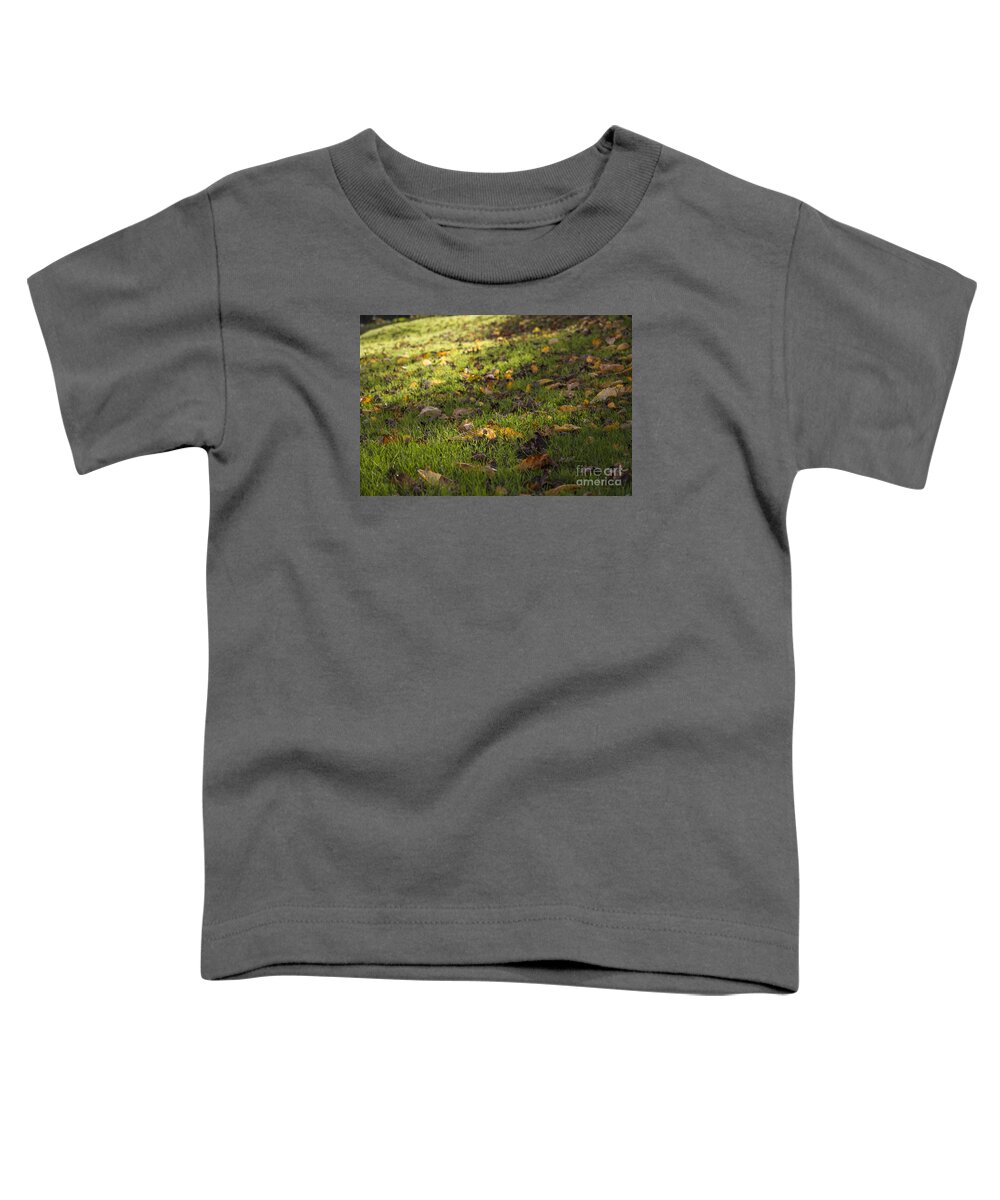Clare Bambers Toddler T-Shirt featuring the photograph Glowing Autumn Day by Clare Bambers