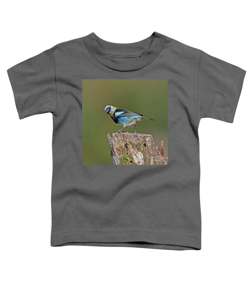 Bird Toddler T-Shirt featuring the photograph Golden-hooded Tanager by Jean-Luc Baron