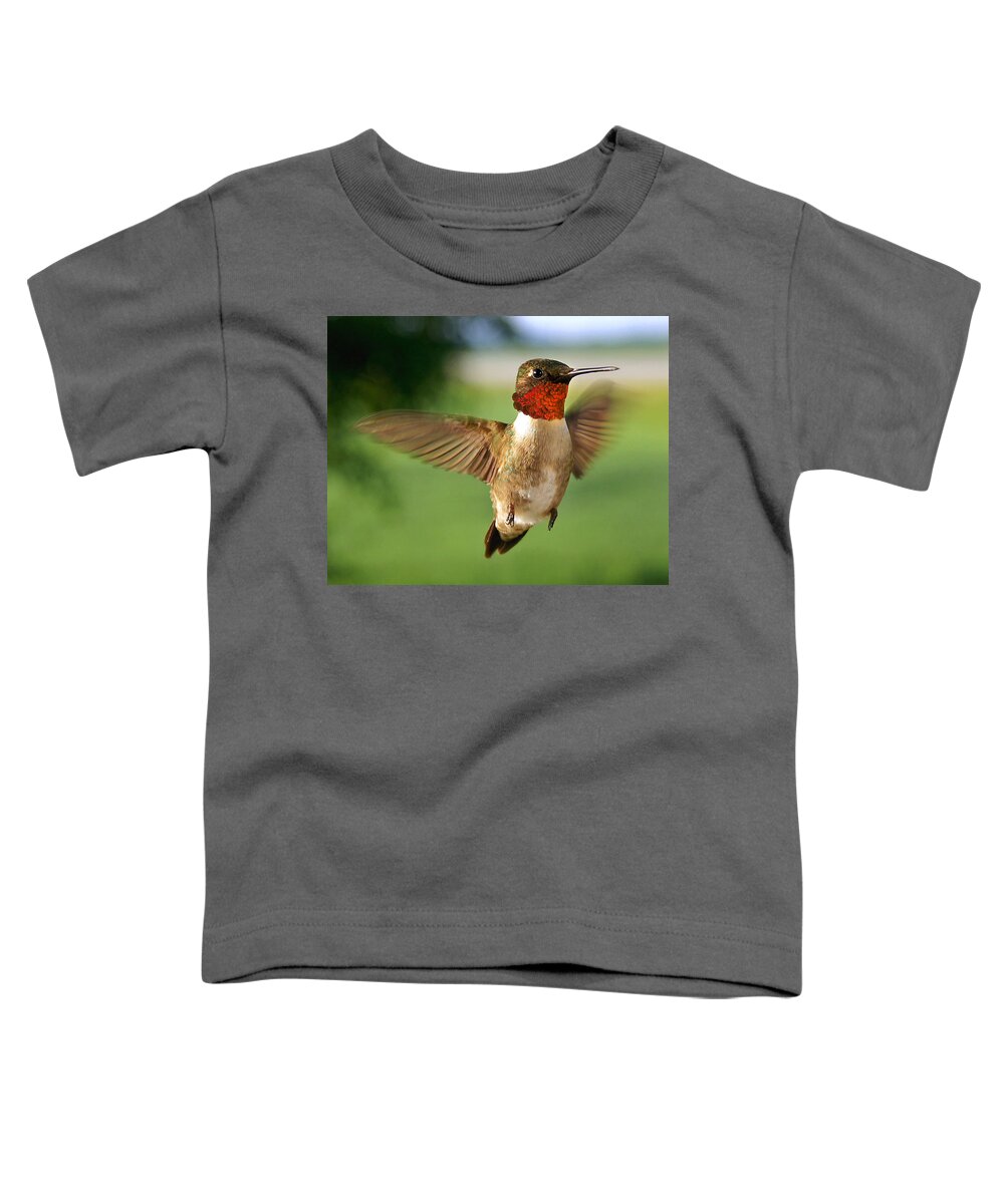 Horizontal Toddler T-Shirt featuring the photograph Grand Display - cropped by Bill Pevlor