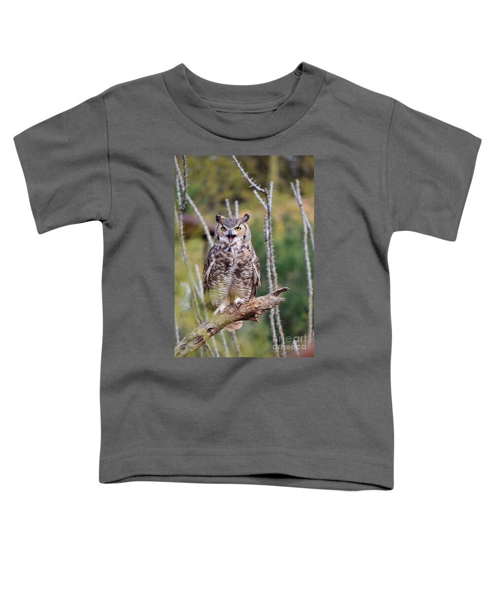 Owl Toddler T-Shirt featuring the photograph Great Horned Owl by Donna Greene