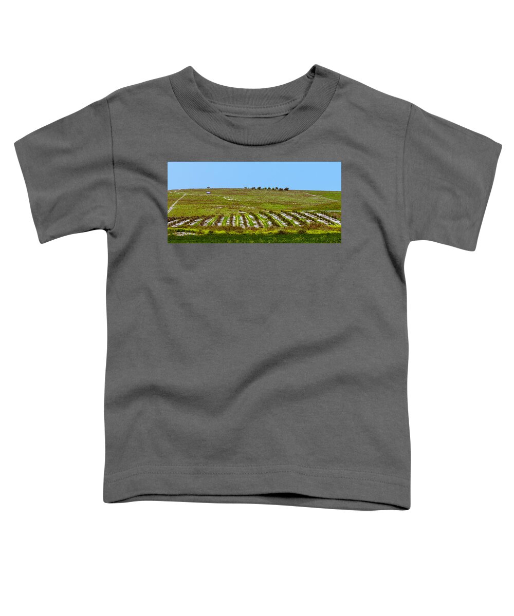 Agriculture Toddler T-Shirt featuring the photograph Green hills by Michael Goyberg