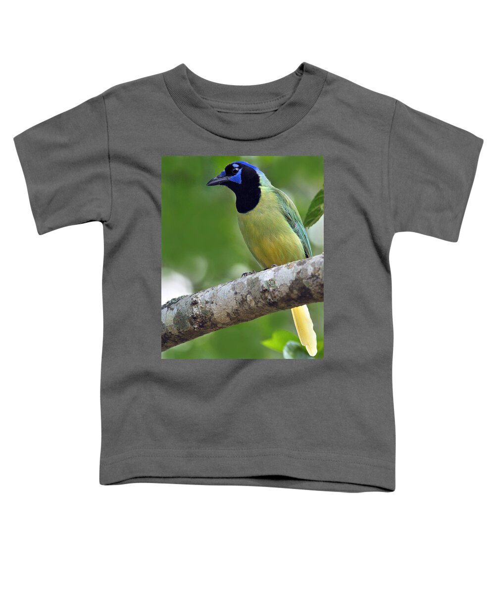Green Jay Toddler T-Shirt featuring the photograph Green Jay by Tony Beck
