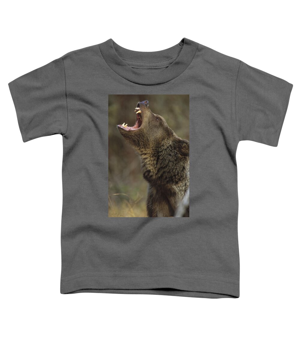 00172917 Toddler T-Shirt featuring the photograph Grizzly Bear Calling North America by Tim Fitzharris