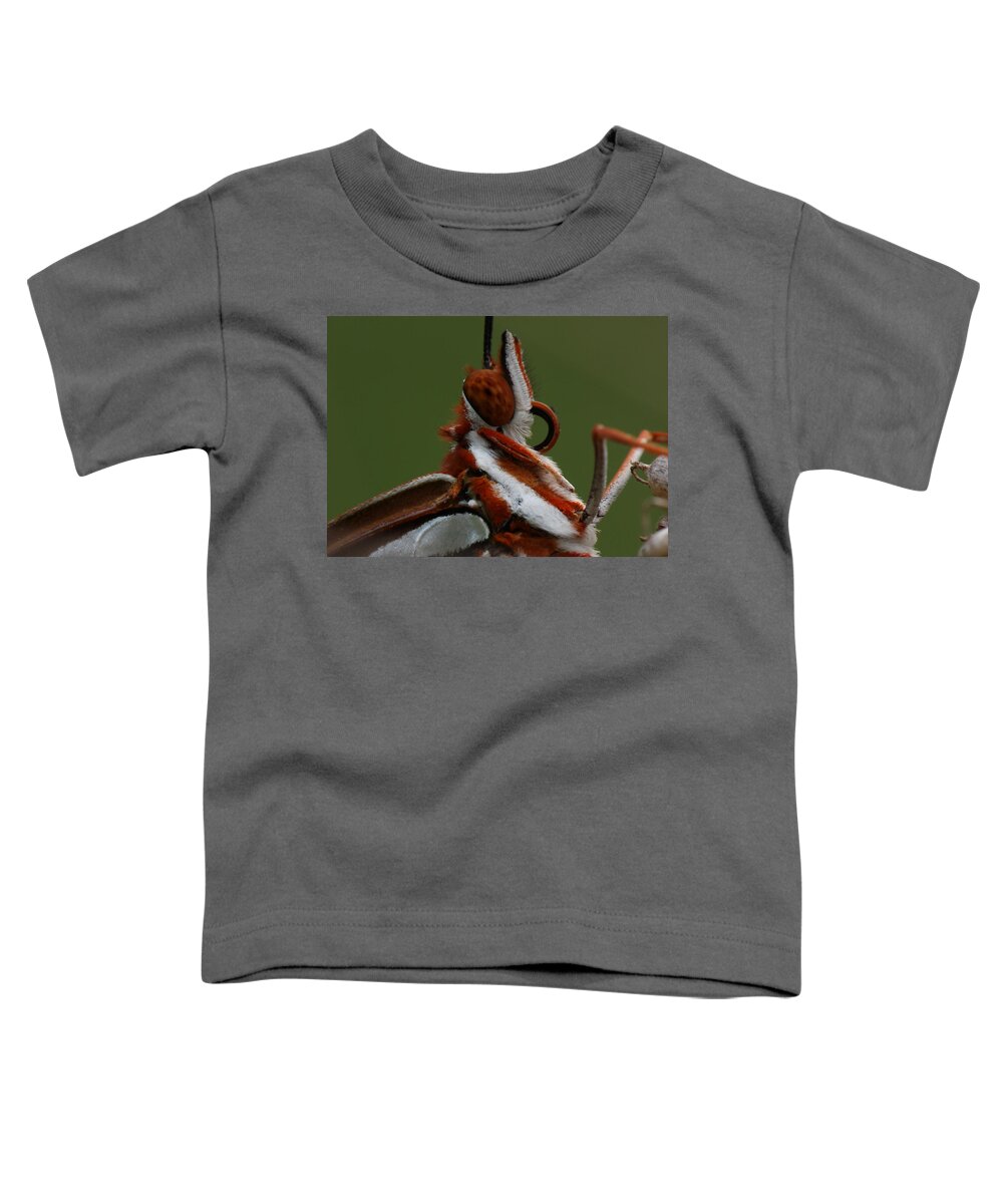 Agraulis Vanillae Toddler T-Shirt featuring the photograph Gulf Fritillary Butterfly Portrait by Daniel Reed