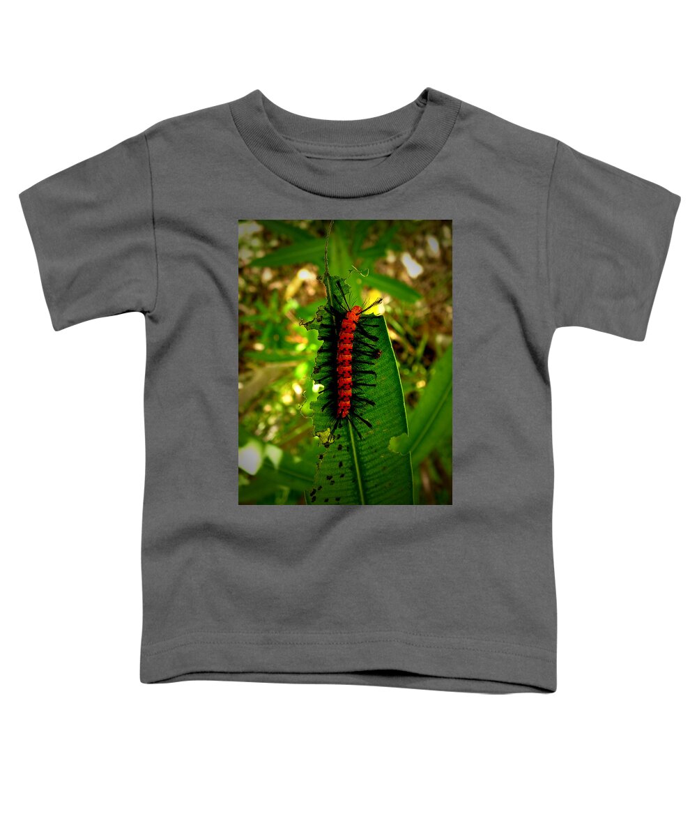 Caterpillar Toddler T-Shirt featuring the photograph Hairbrush by David Weeks