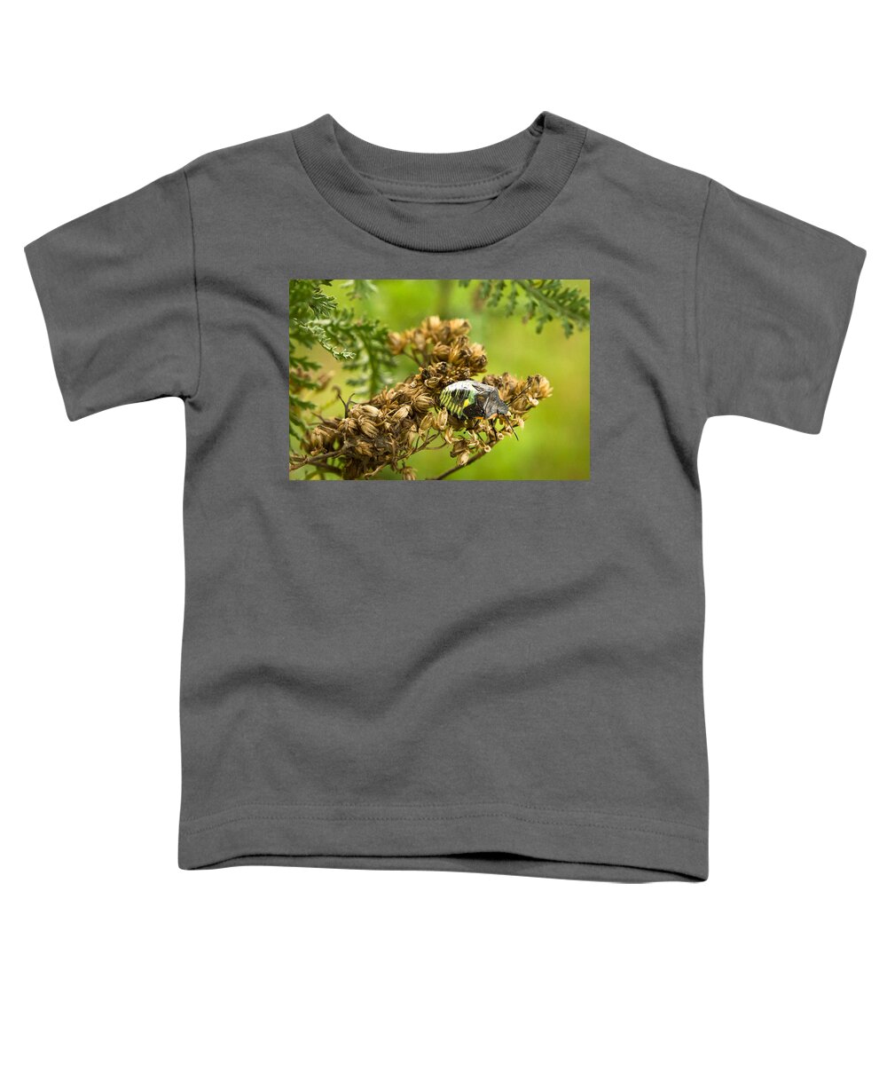 Bill Pevlor Toddler T-Shirt featuring the photograph High-Tech Armour by Bill Pevlor
