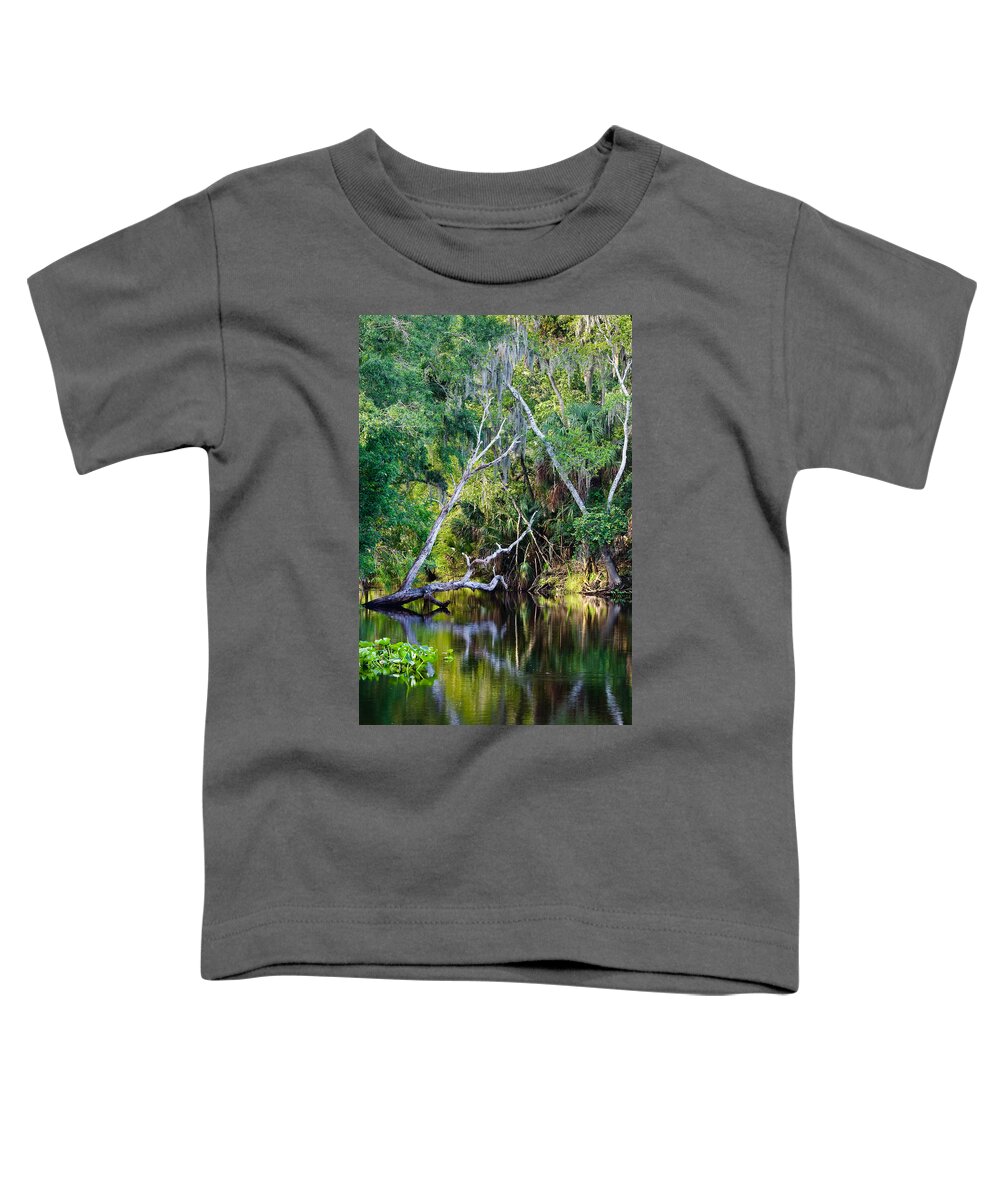 Florida Toddler T-Shirt featuring the photograph Hillsborough River at Morris Bridge Wilderness Park by Ed Gleichman