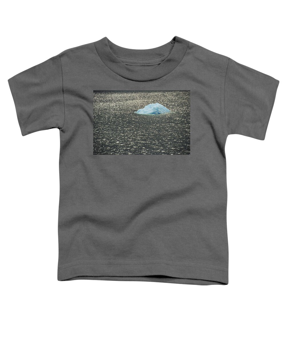 Mp Toddler T-Shirt featuring the photograph Icebergs In Bransfield Strait by Gerry Ellis