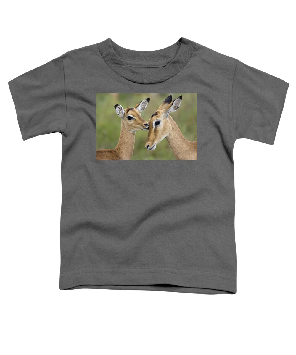 Mp Toddler T-Shirt featuring the photograph Impala Aepycerus Melampus Fawn Grooming by Suzi Eszterhas