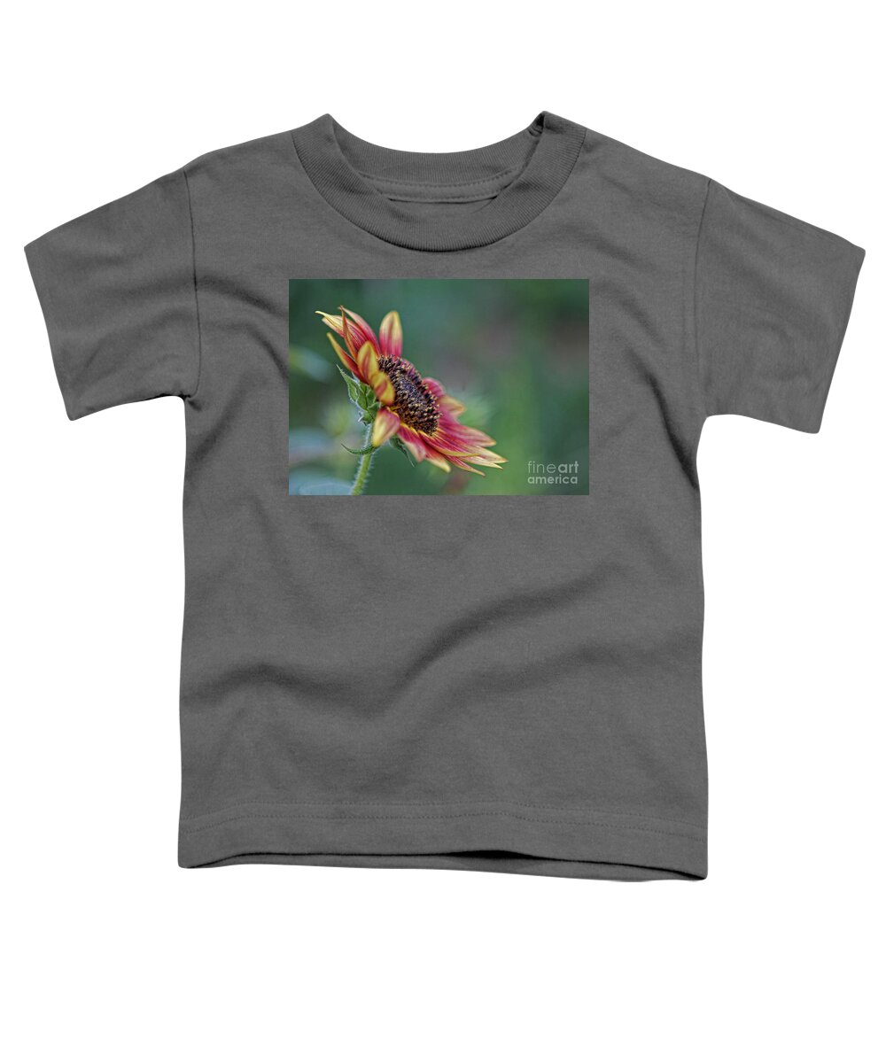 Sunflower Toddler T-Shirt featuring the photograph Just Opened by Denise Romano