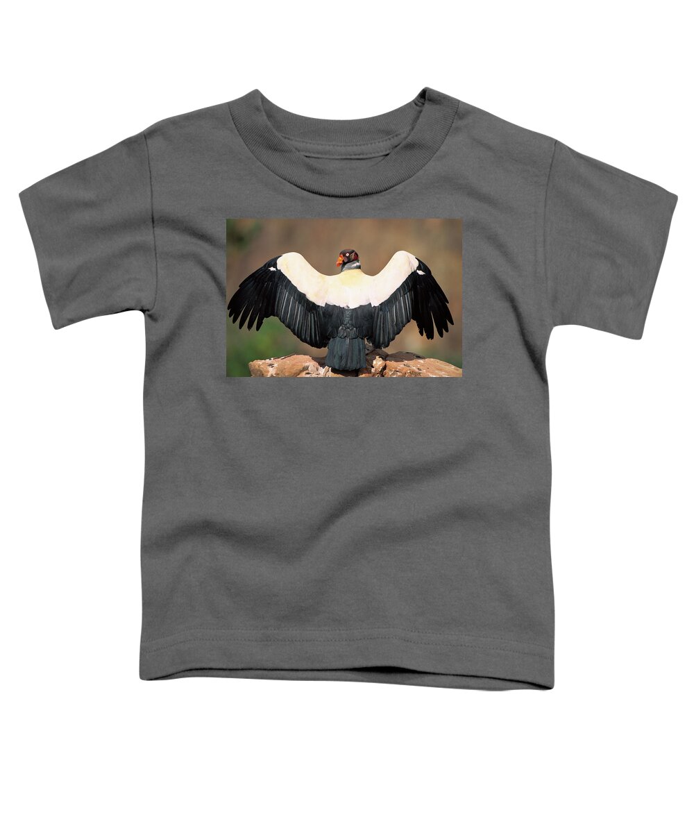 Mp Toddler T-Shirt featuring the photograph King Vulture Sarcoramphus Papa Sunning by Pete Oxford