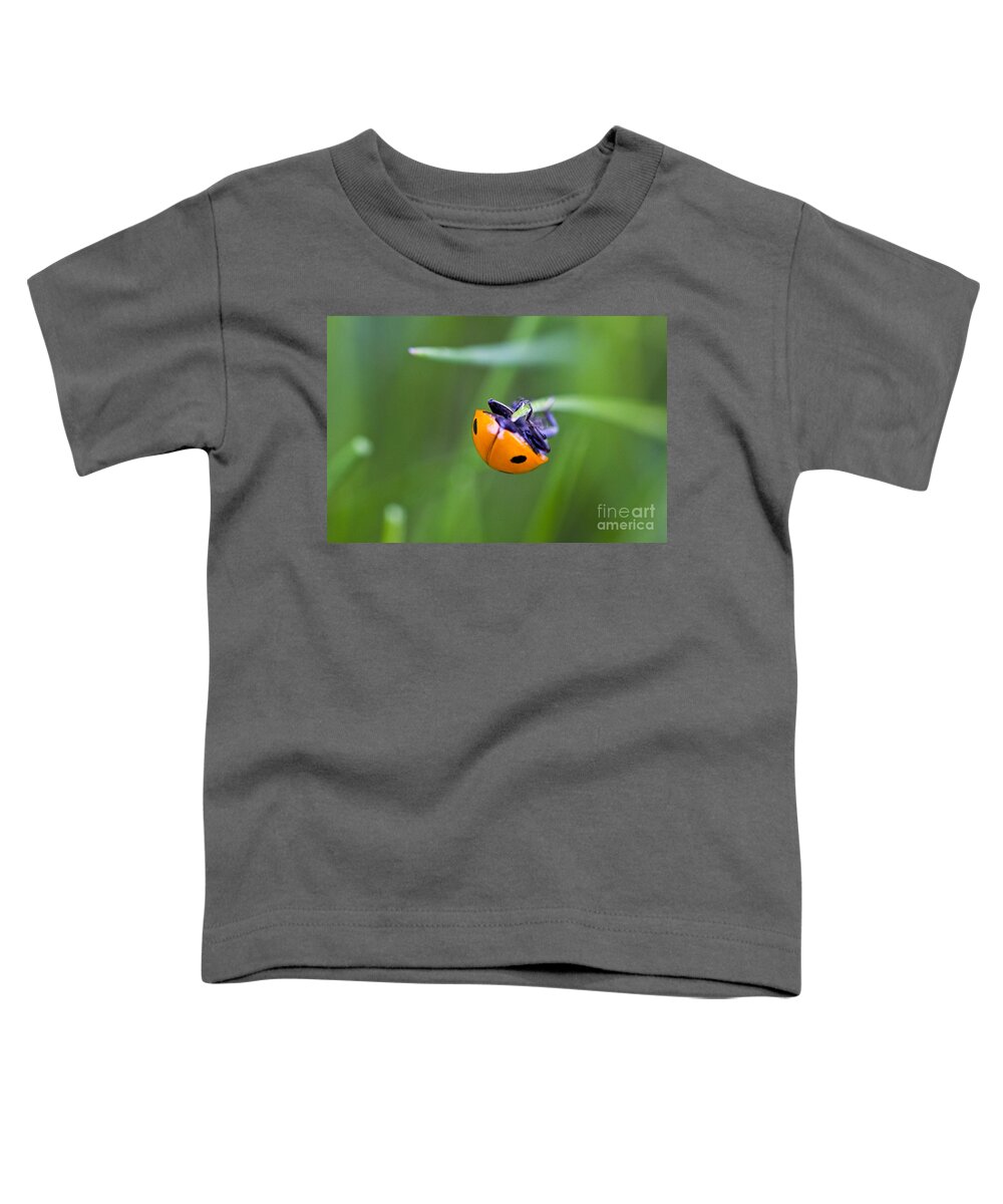 Landscape Toddler T-Shirt featuring the photograph Ladybug Topsy Turvy by Donna L Munro