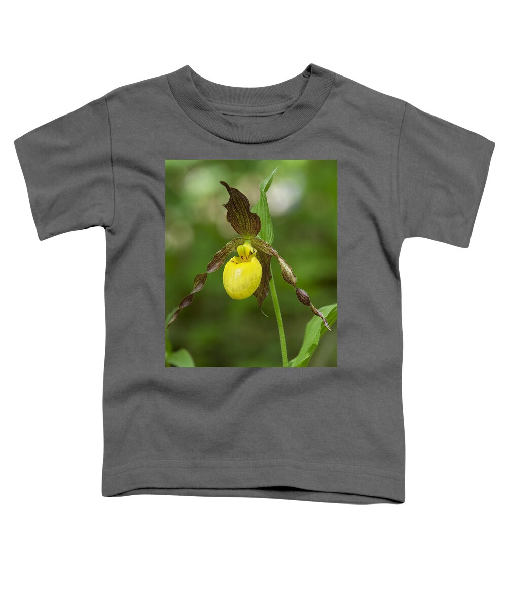 Nature Toddler T-Shirt featuring the photograph Large Yellow Lady Slipper Orchid DSPF0251 by Gerry Gantt