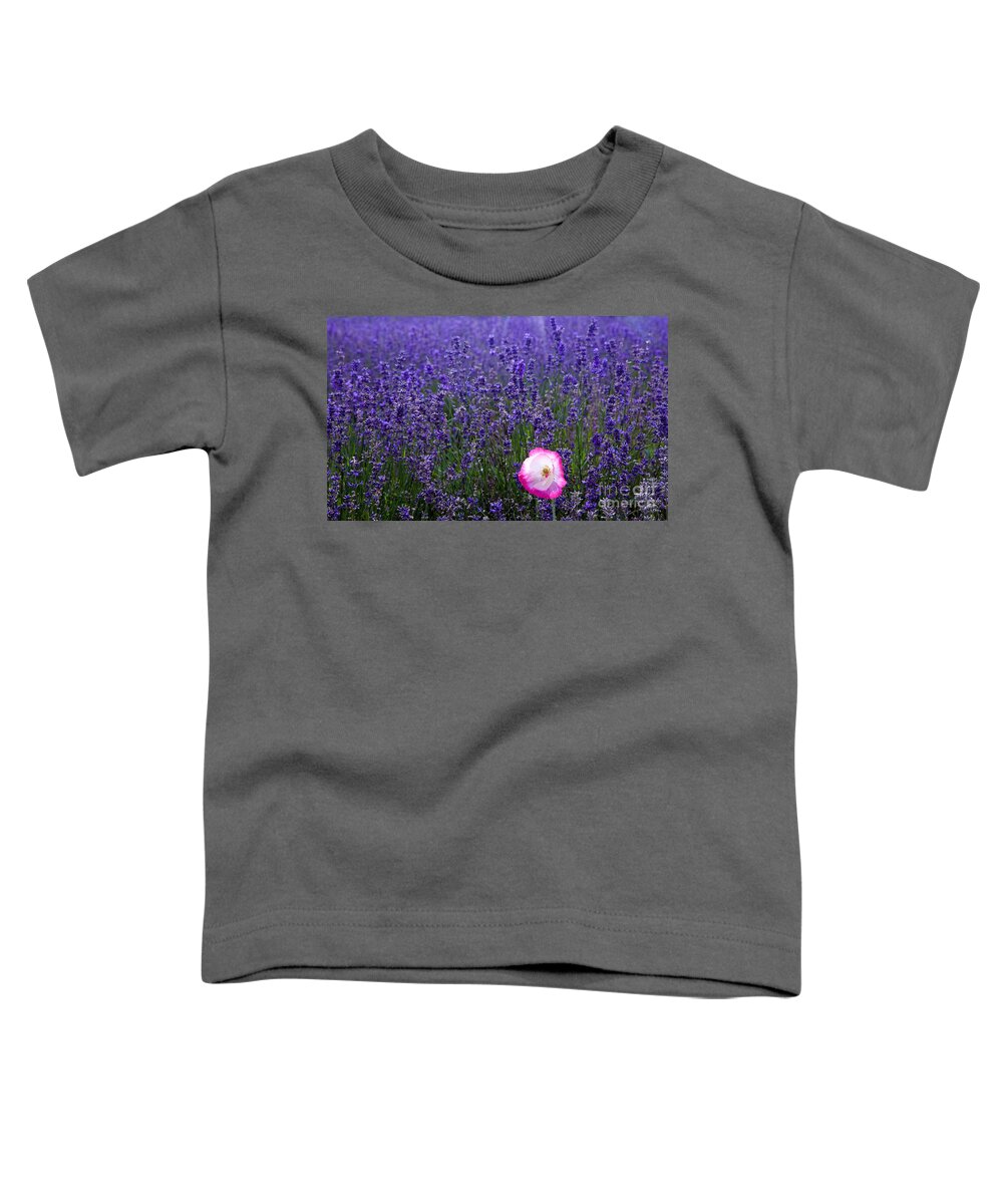  Abundance Toddler T-Shirt featuring the photograph Lavender field with poppy by Simon Bratt