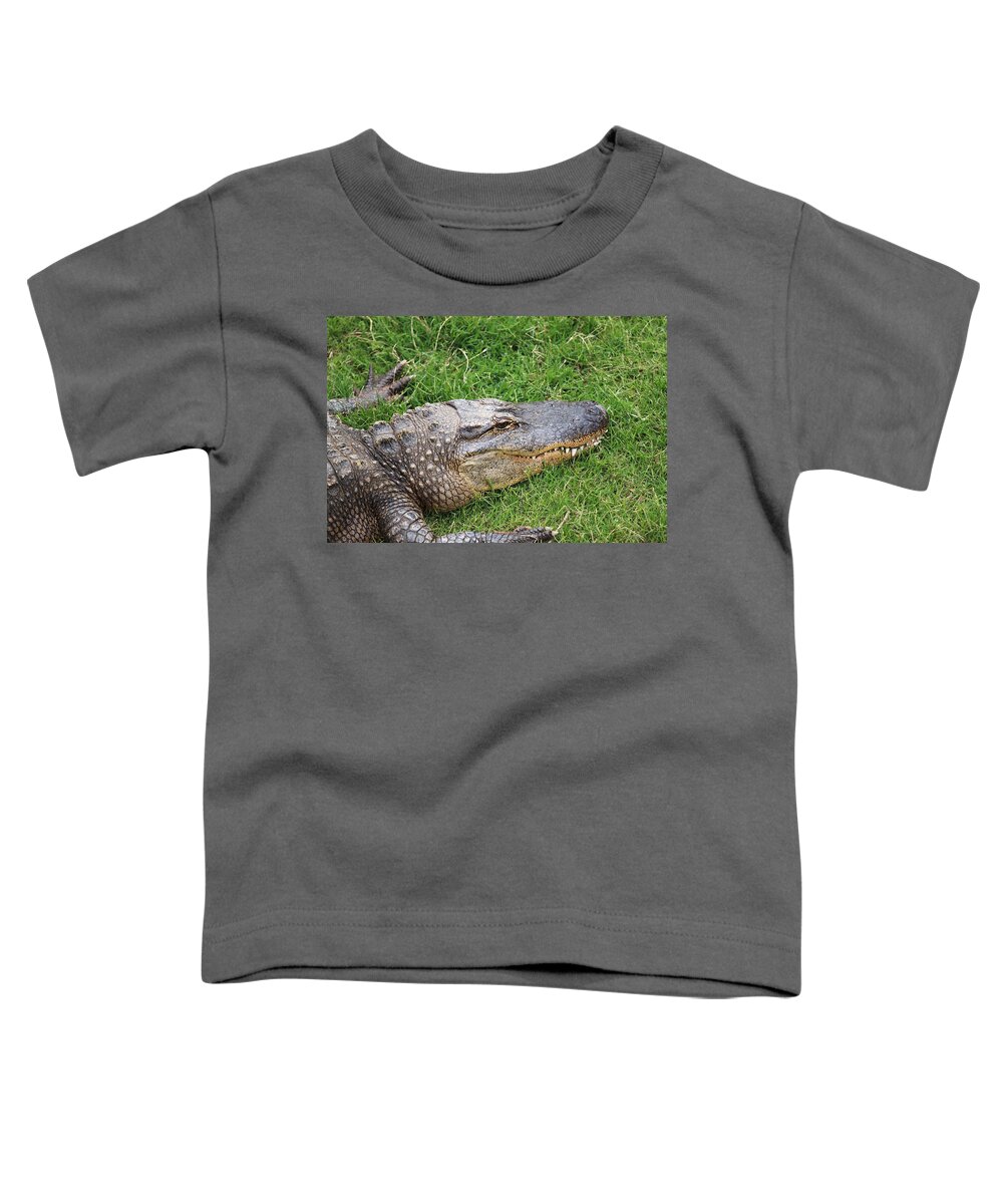 Alligator Toddler T-Shirt featuring the photograph Lazy Gator by Ricky Barnard