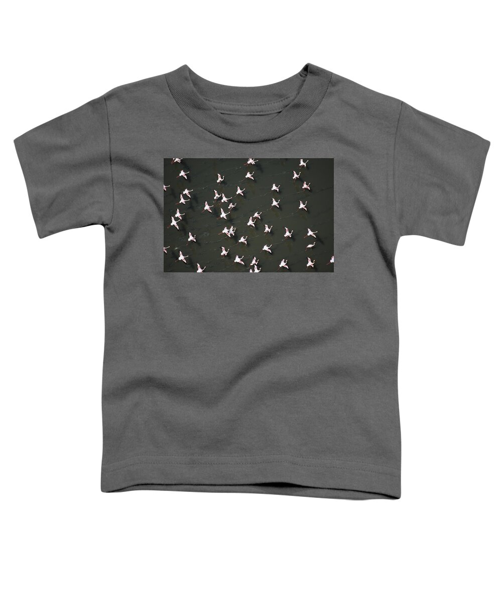 00172170 Toddler T-Shirt featuring the photograph Lesser Flamingo Flock Taking Flight by Tim Fitzharris