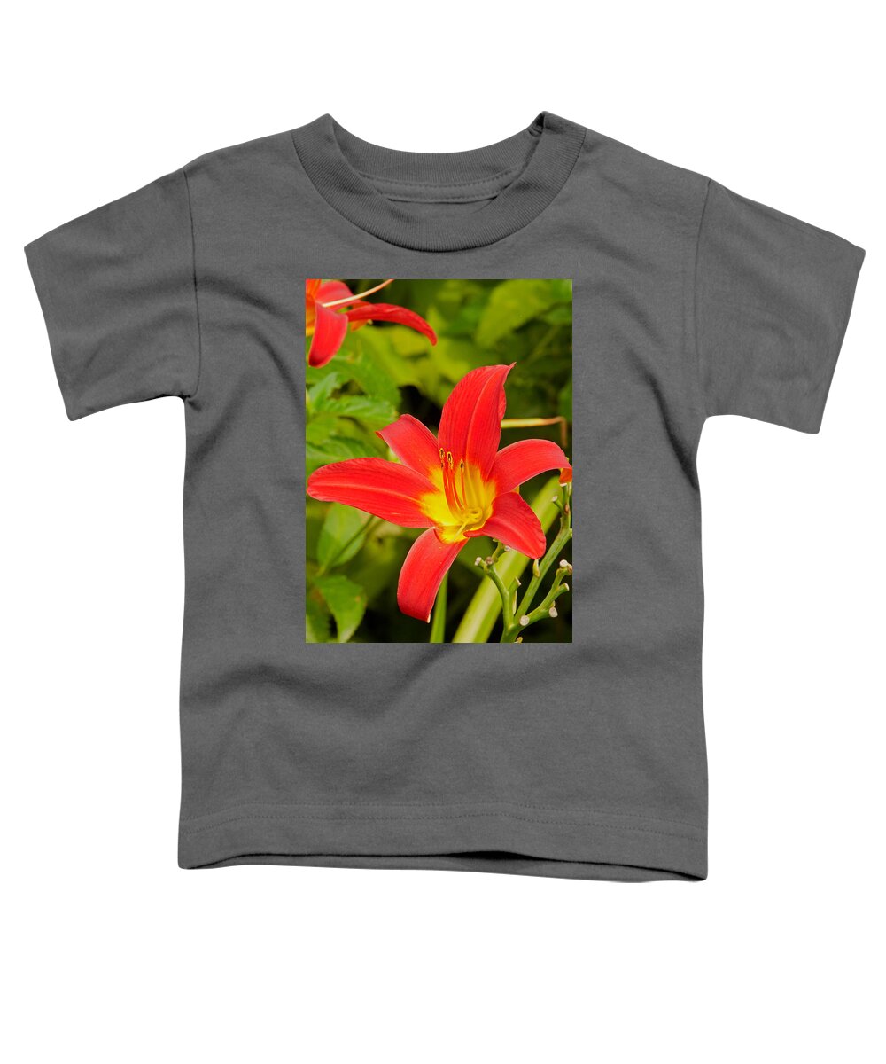 Brilliant Blooms Toddler T-Shirt featuring the photograph Lilly by Paul Mangold