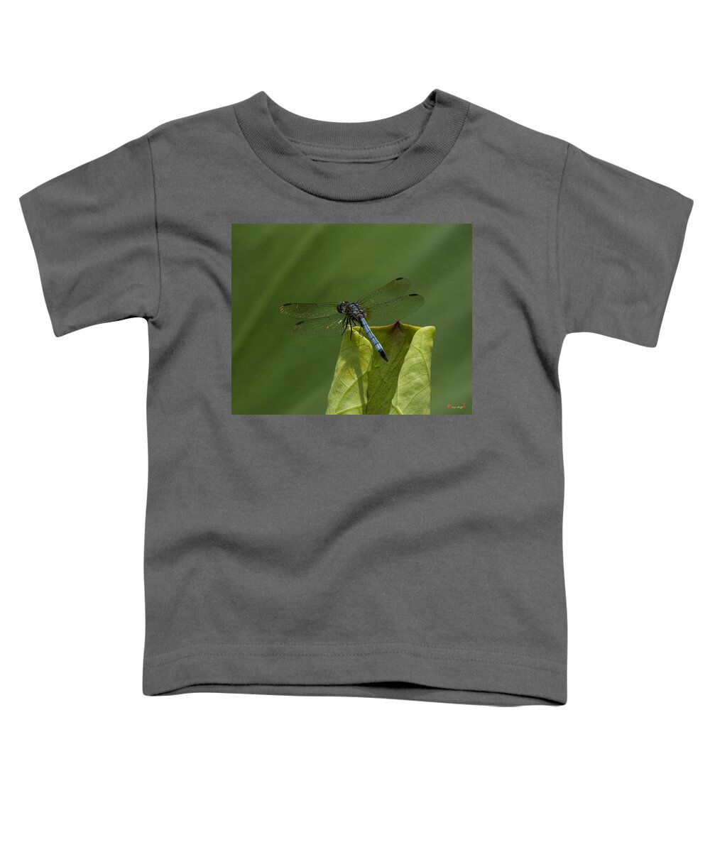 Nature Toddler T-Shirt featuring the photograph Lotus Leaf and Blue Dasher Dragonfly DL058 by Gerry Gantt