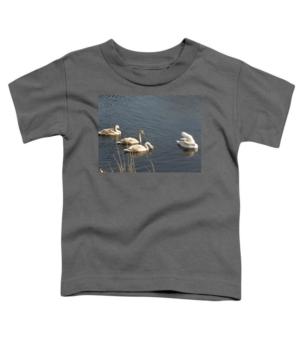 Swan Toddler T-Shirt featuring the photograph Mom and Triplets by Kim Galluzzo