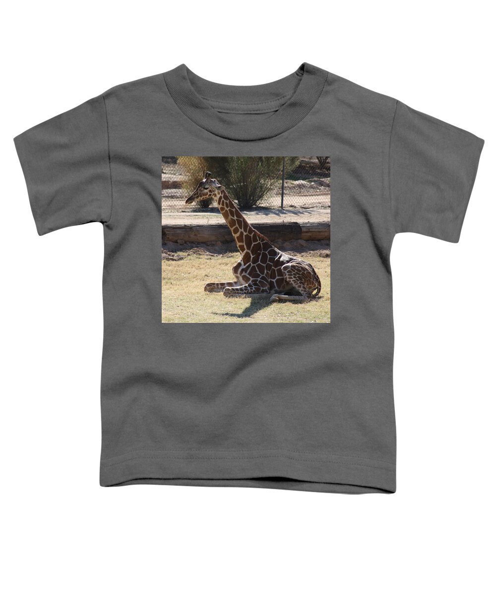 Giraffe Toddler T-Shirt featuring the photograph Mommy taking a break by Kim Galluzzo