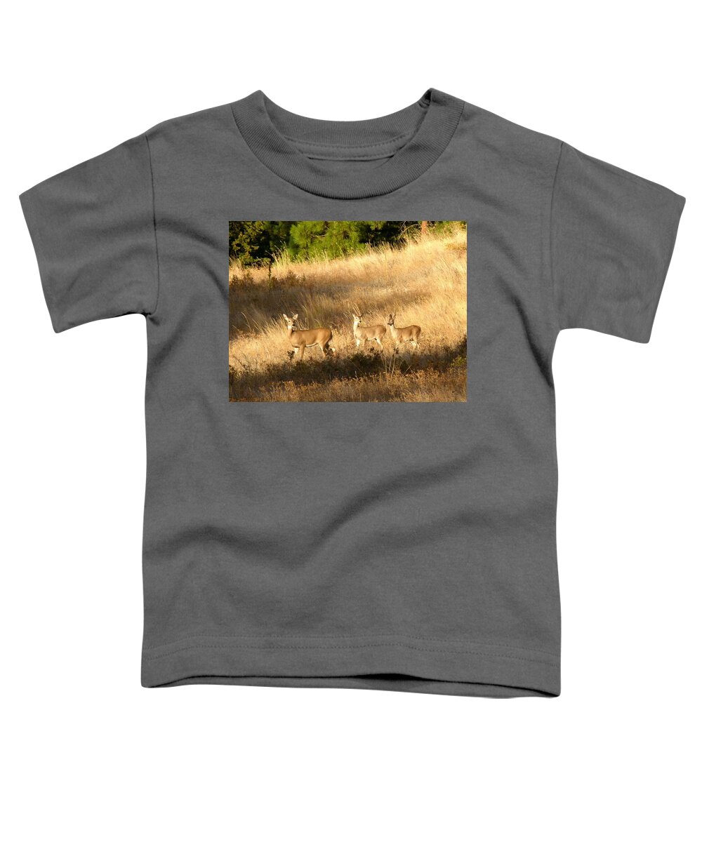 Deer Toddler T-Shirt featuring the photograph Mother And Twins by Will Borden