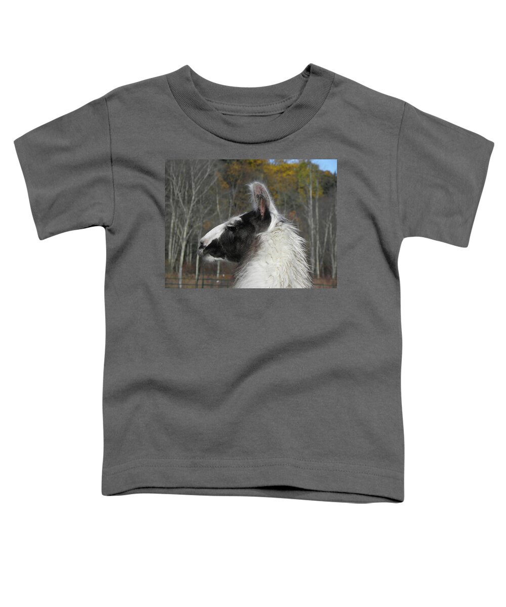 Alpaca Toddler T-Shirt featuring the photograph Mr Alpaca in the country by Kim Galluzzo